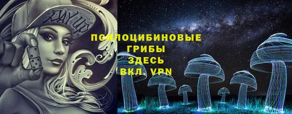 дурь Покачи