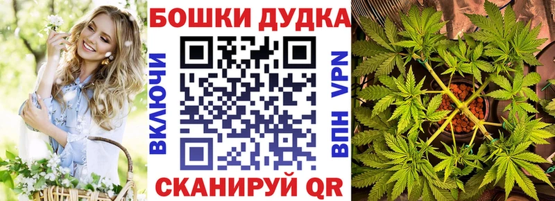 Бошки Шишки планчик  где купить наркотик  Кувшиново 